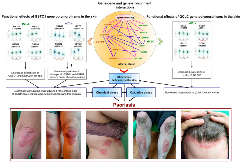 Genetic Interactions of Phase II Xenobiotic-Metabolizing Enzymes <i>GSTO1</i> and <i>GCLC</i> in Relation to Alcohol Abuse and Psoriasis Risk.