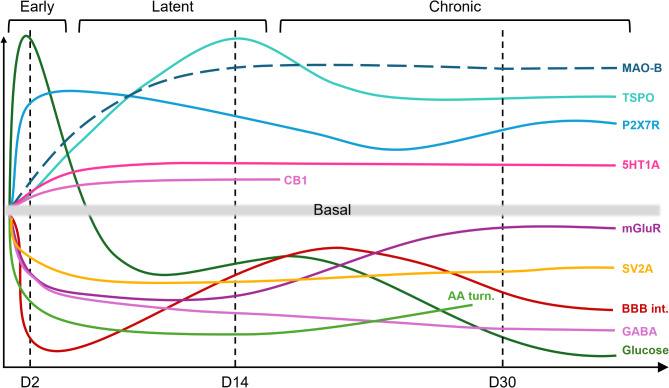 Preclinical PET imaging in epileptogenesis: towards identification of biomarkers and therapeutic targets.