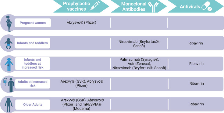 Recent advances in the prevention and treatment of respiratory syncytial virus disease.