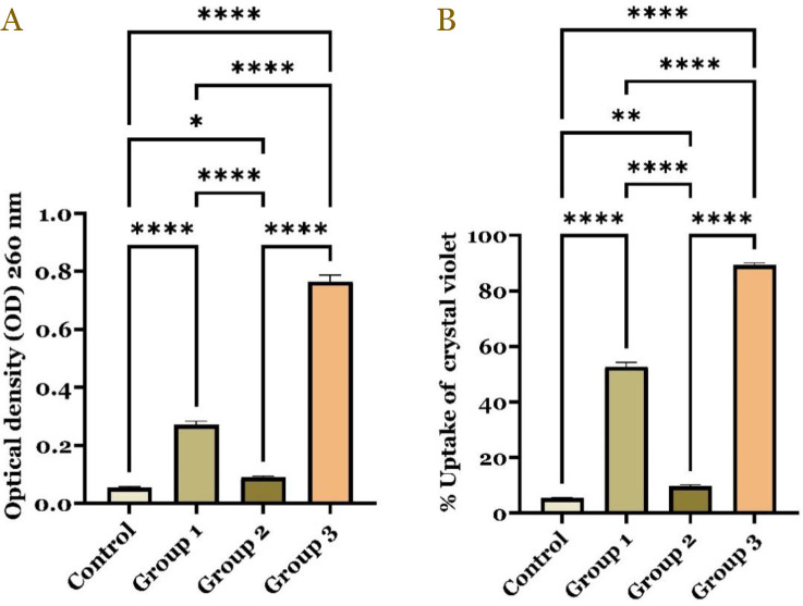 Synergistic mechanism of <i>Phyllanthus emblica</i> extract and tetracycline against multidrug-resistant <i>Acinetobacter baumannii</i>.