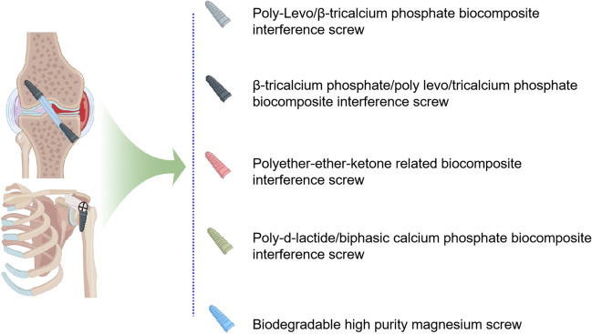 Application and optimization of bioengineering strategies in facilitating tendon-bone healing.