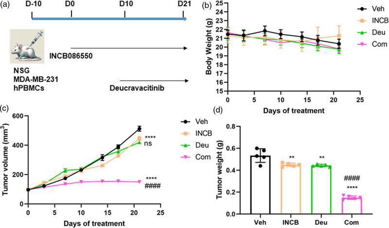 Dual inhibition of TYK2 and PD-L1 boosts immune response in triple negative breast cancer.
