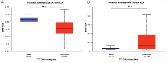 <i>SPEF1</i> and <i>SPEF2</i> as potential biomarkers in bladder cancer: Insights from a comprehensive bioinformatic analysis.