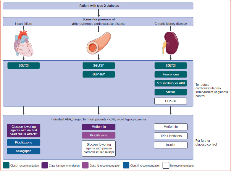 Cardiovascular Risk Reduction in Patients with Type 2 Diabetes: What Does the Cardiologist Need to Know?