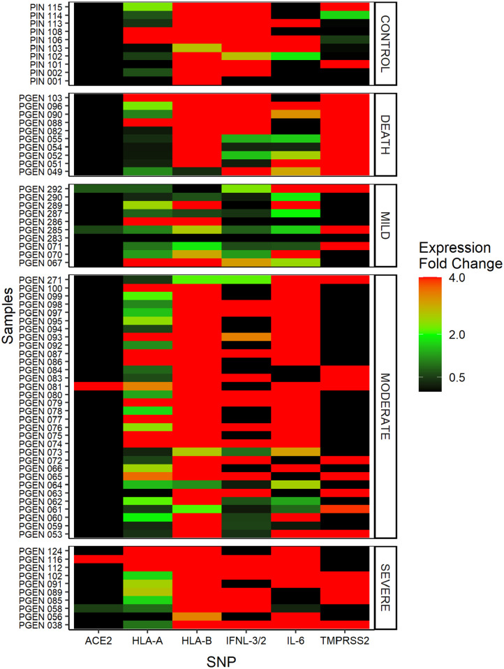 Screening Biomarkers and Risk Factors for COVID-19 Progression in a Border Population Between Brazil-Bolivia.