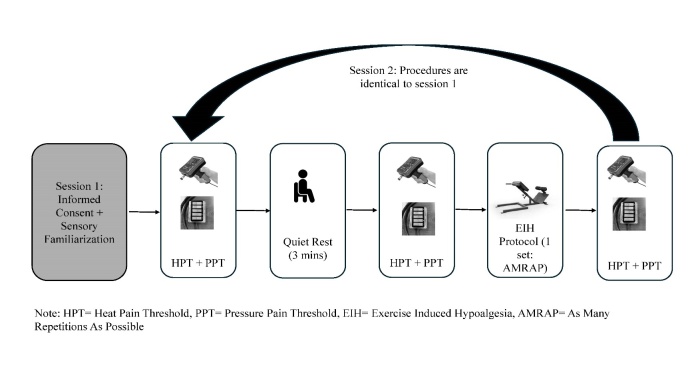 Reliability of Pain Thresholds and Exercise-Induced Hypoalgesia Following 45-Degree Roman Chair Exercise.