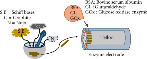 Schiff Bases From 4-Aminoantipyrine: Investigation of Their In Silico, Antimicrobial, and Anticancer Effects and Their Use in Glucose Biosensor Design.