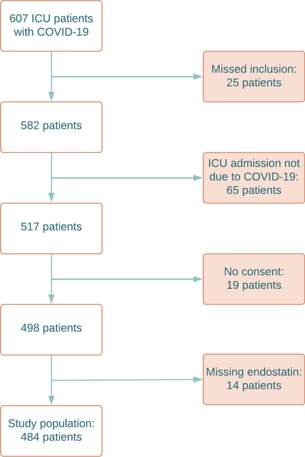 Plasma endostatin at intensive care admission is independently associated with acute kidney injury, dialysis, and mortality in COVID-19.