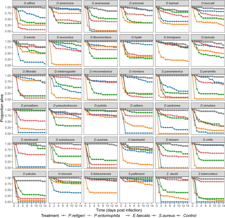 Varying phylogenetic signal in susceptibility to four bacterial pathogens across species of Drosophilidae.
