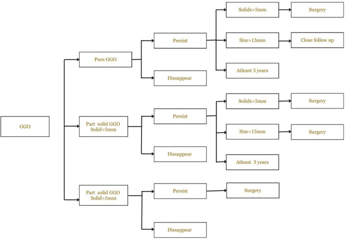 Artificial intelligence-based deep learning algorithms for ground-glass opacity nodule detection: A review.