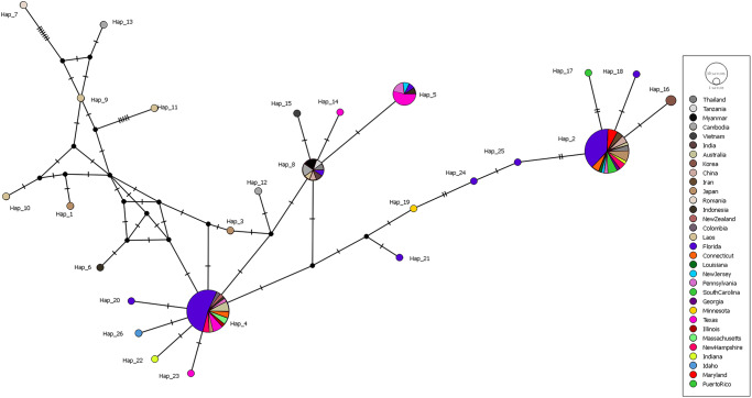 Molecular characterization of <i>Spirometra</i> isolates across the USA.