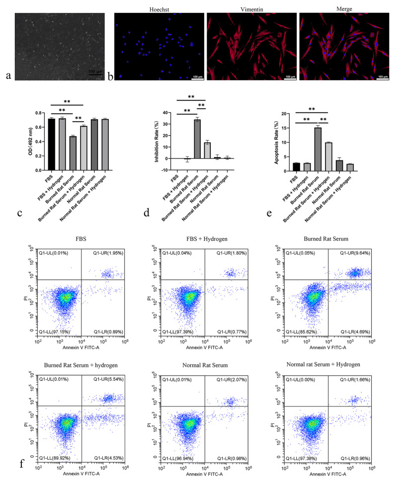 Hydrogen gas therapy: A promising approach for sepsis management post-burn injury by modulating inflammation, oxidative stress, and wound healing.