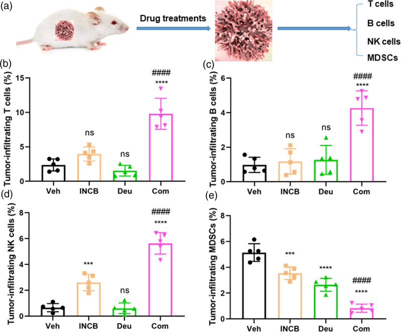 Dual inhibition of TYK2 and PD-L1 boosts immune response in triple negative breast cancer.