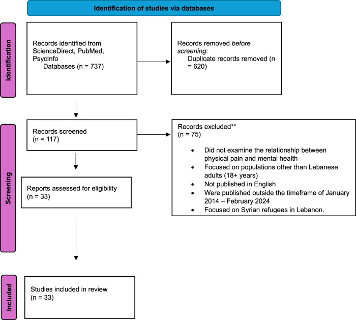 Youth Mental Health in Crisis: Understanding the Relationship Between Mental Health and Physical Pain in Lebanon's Youth - A Scoping Review.