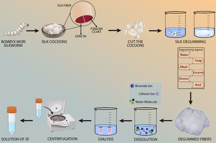Polyurethane/silk fibroin-based electrospun membranes for wound healing and skin substitute applications.