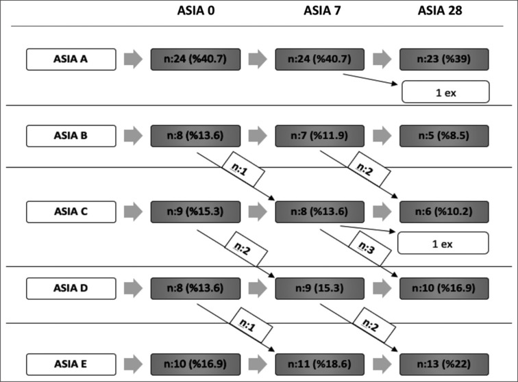The relationship between magnetic resonance imaging, clinical findings, treatment modalities, and neurological outcomes in acute traumatic spinal cord injury in the emergency department.
