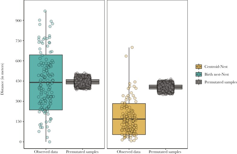 Not all who wander are lost: prospecting and settlement of male floaters in the spotless starling.