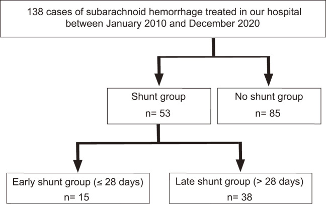 The Feasibility of Early Shunting for Hydrocephalus after Subarachnoid Hemorrhage.