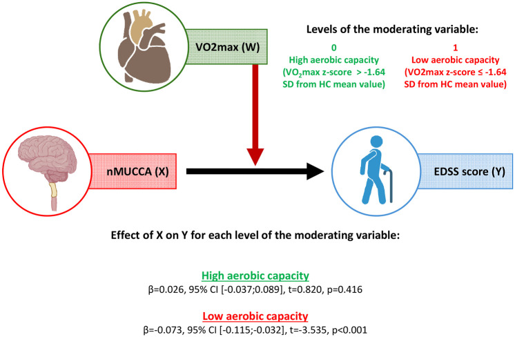 Aerobic capacity moderates the association between cervical cord atrophy and clinical disability in mildly disabled multiple sclerosis patients.