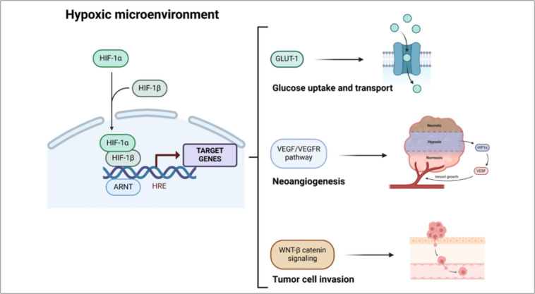Microenvironment matters: insights from the FOSTER consortium on microenvironment-driven approaches to osteosarcoma therapy.