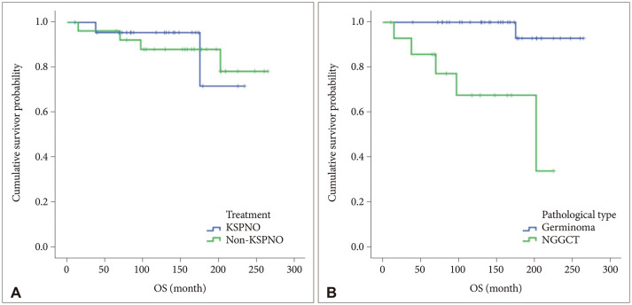 Treatment Outcomes and Prognostic Factors of Intracranial Germ Cell Tumors: A Single Institution Retrospective Study.