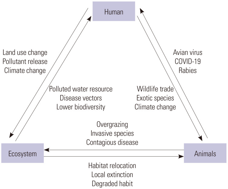 Navigating the Interconnected Web of Health: A Comprehensive Review of the One Health Paradigm and Its Implications for Disease Management.
