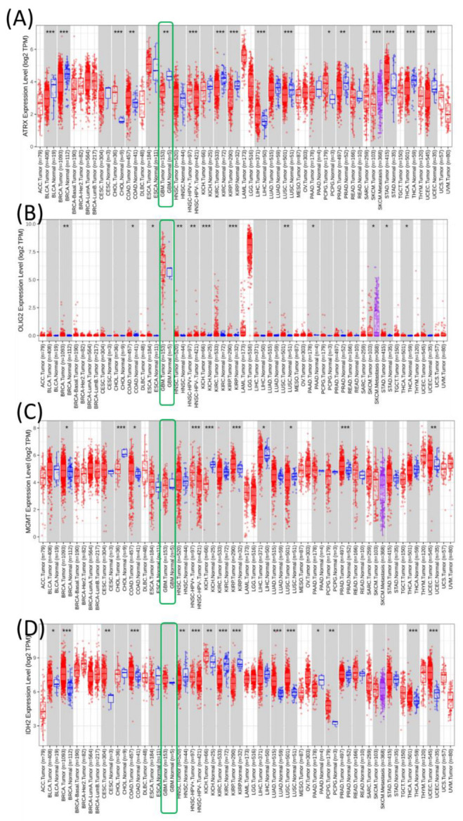 ATRX, OLIG2, MGMT, and IDH2 in Glioblastoma: Essential Molecular Mechanisms and Therapeutic Significance.