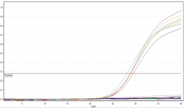 <i>Cytauxzoon felis</i> in Domestic Cats: A Molecular Study Using Real-Time PCR in Semnan, Iran.