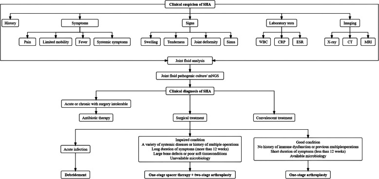 Diagnosis and surgical treatment of chronic destructive septic hip arthritis.