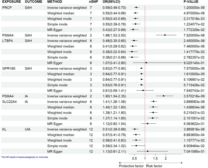 PRCP is a promising drug target for intracranial aneurysm rupture supported via multi-omics analysis.