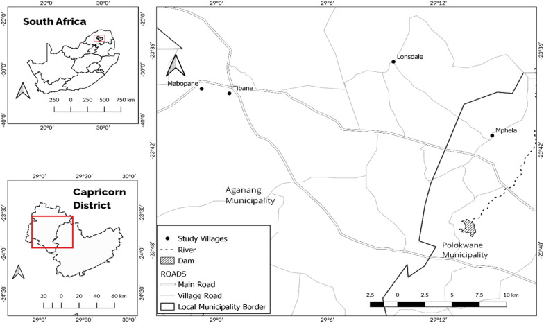 Traditional knowledge and consumption of wild edible plants in rural households, Limpopo Province, South Africa.