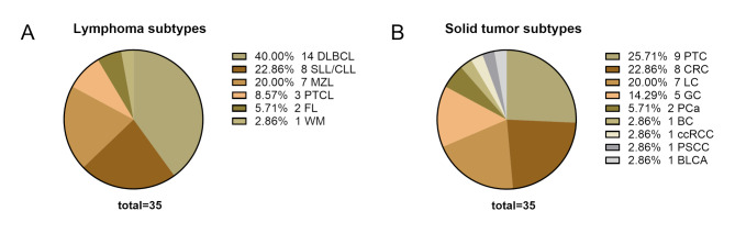 Clinical analysis of lymphoma with malignant solid tumor simultaneously: a retrospective case series.