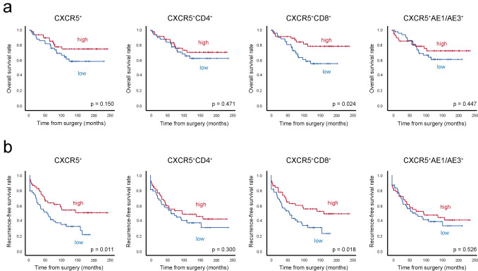 Prognostic impact and landscape of cellular CXCR5 chemokine receptor expression in clear-cell renal cell carcinoma.