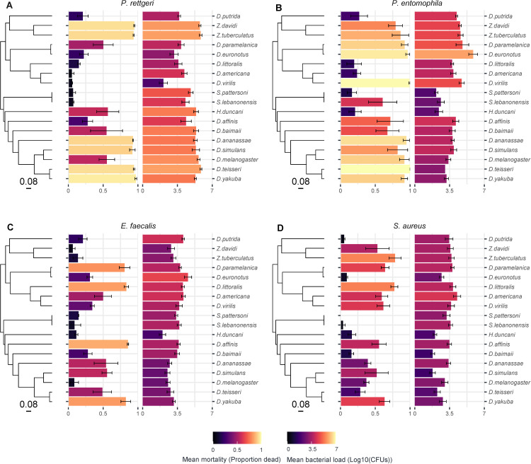 Varying phylogenetic signal in susceptibility to four bacterial pathogens across species of Drosophilidae.