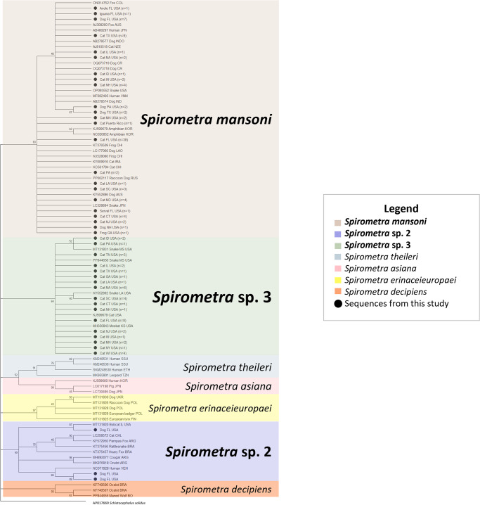 Molecular characterization of <i>Spirometra</i> isolates across the USA.