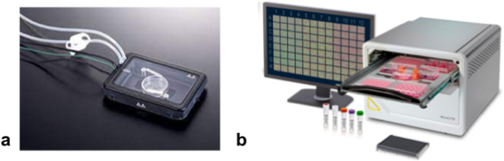 Video microscopy: an old story with a bright biological future.