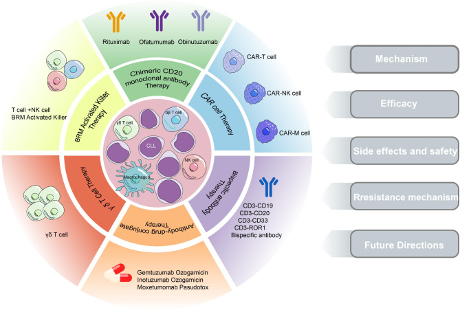 Immunotherapy in chronic lymphocytic leukemia: advances and challenges.