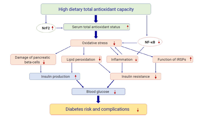 The contribution of dietary total antioxidant capacity to type 2 diabetes risk and levels of glycemic biomarkers: a systematic review.