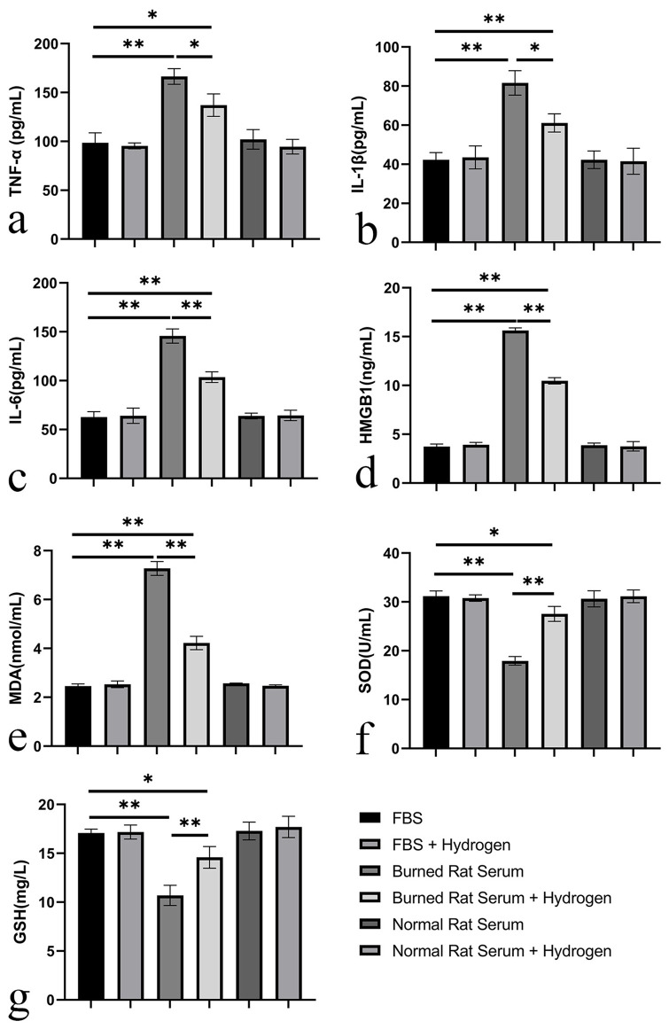 Hydrogen gas therapy: A promising approach for sepsis management post-burn injury by modulating inflammation, oxidative stress, and wound healing.