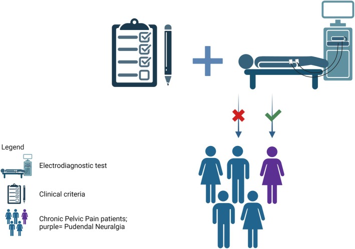 The clinical value of EMG and SSEP in diagnosing chronic pelvic pain syndrome; a systematic review.