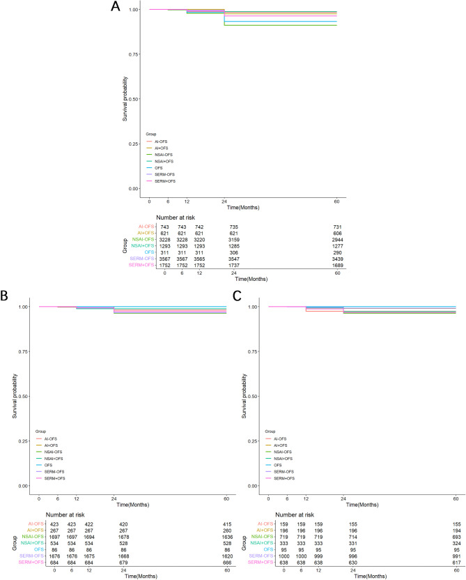 Investigating cardiovascular diseases related to endocrine therapy in hormone receptor-positive early breast cancer: insights from a nationwide real-world study.
