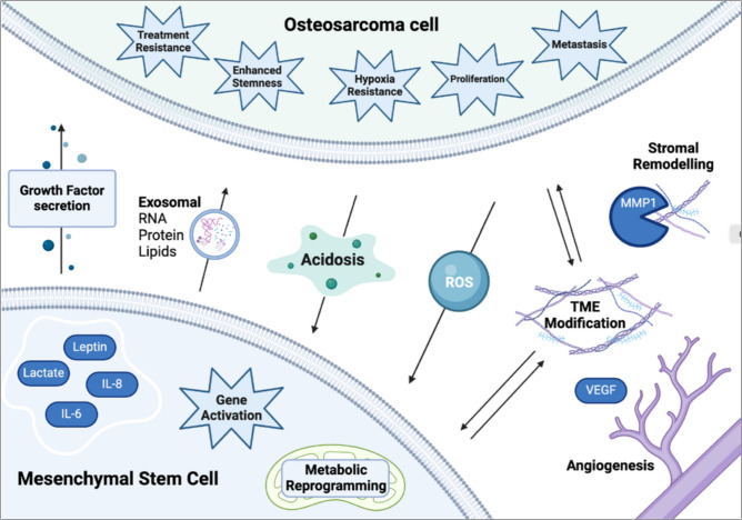 Microenvironment matters: insights from the FOSTER consortium on microenvironment-driven approaches to osteosarcoma therapy.