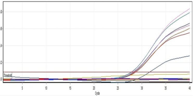 <i>Cytauxzoon felis</i> in Domestic Cats: A Molecular Study Using Real-Time PCR in Semnan, Iran.
