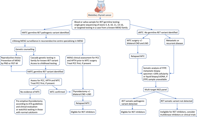 Genomic testing for RET in the clinic: UK and global perspective.