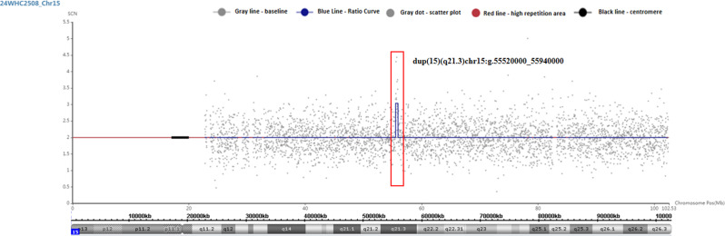 Prenatal diagnosis and molecular cytogenetic analyses of a rare 15q21.3 and 16p11.2 microduplication family.