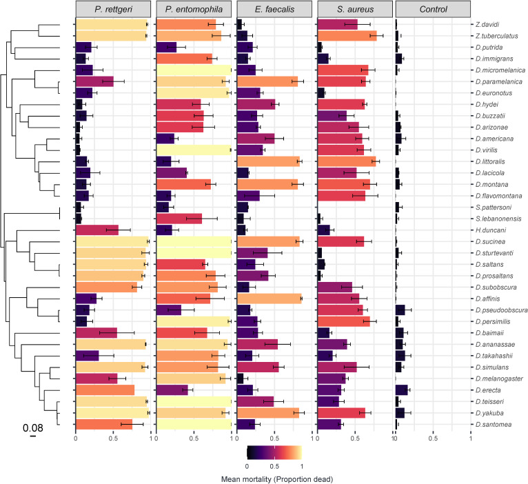 Varying phylogenetic signal in susceptibility to four bacterial pathogens across species of Drosophilidae.