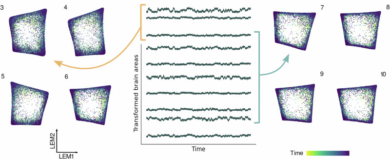 A mechanism for the emergence of low-dimensional structures in brain dynamics.