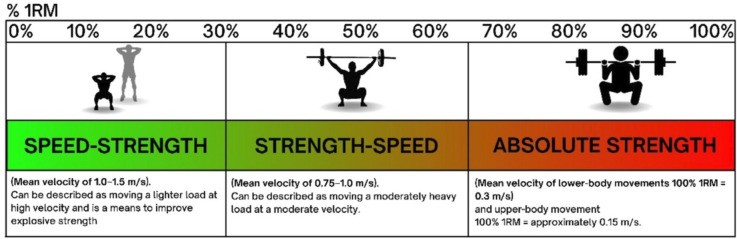 Velocity-based training in mid- and late-stage rehabilitation after anterior cruciate ligament reconstruction: a narrative review and practical guidelines.