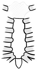 Abstract Image