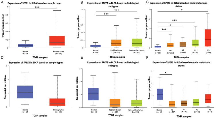 <i>SPEF1</i> and <i>SPEF2</i> as potential biomarkers in bladder cancer: Insights from a comprehensive bioinformatic analysis.
